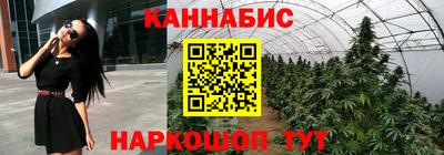 гидра Гагарин