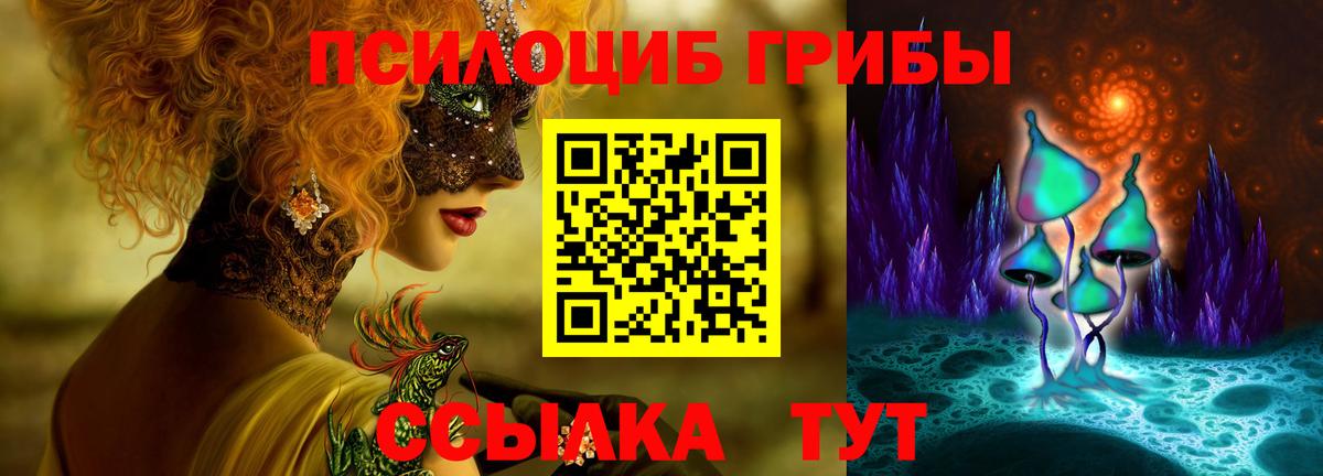 Галлюциногенные грибы прущие грибы  Псилоцибиновые грибы прущие грибы  Вход с VPN  Дагестанские Огни 
